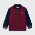 mayoral-bluza-dla-chłopca-bordo-bluza-Mayoral-ze-stojka-110-122-10-04484-062-800-4.jpg